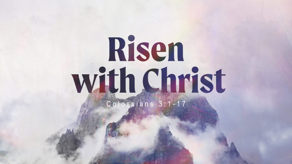 Putting on the New Man