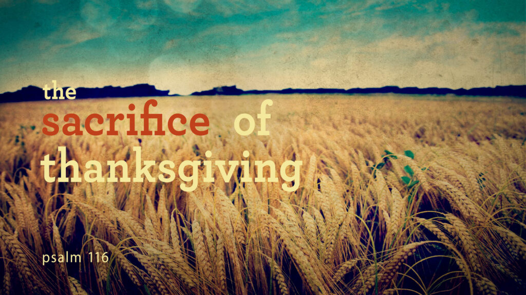 The Sacrifice of Thanksgiving