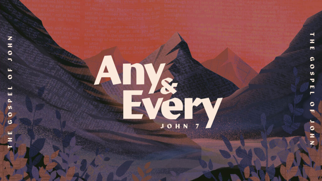 Any and Every